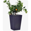  () Keter Rattan Planter S  23,6L, 