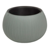  () Prosperplast 3.9  Beton Bowl, , 2 