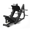   Spirit Fitness SP-4216     45 