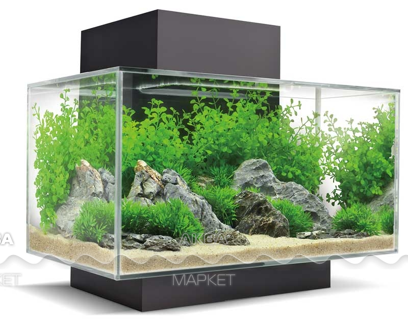 аквариум fluval edge, аквариум fluval edge 23l, fluval edge 23, аквариум fluval edge 46л led