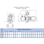     Hayward HCP 5233E24 (380V, 28 ./)