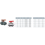      Cepex .40 (PTFE-FPM)